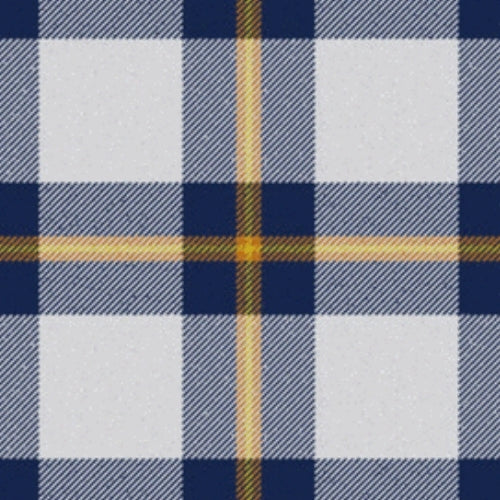 Red Bull tartan swatch