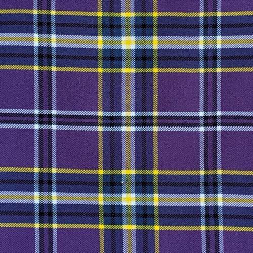 Regan tartan swatch