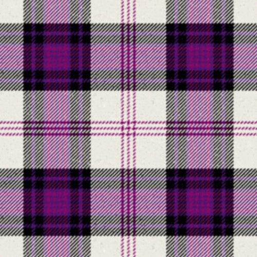 Ross Dress Purple Tartan