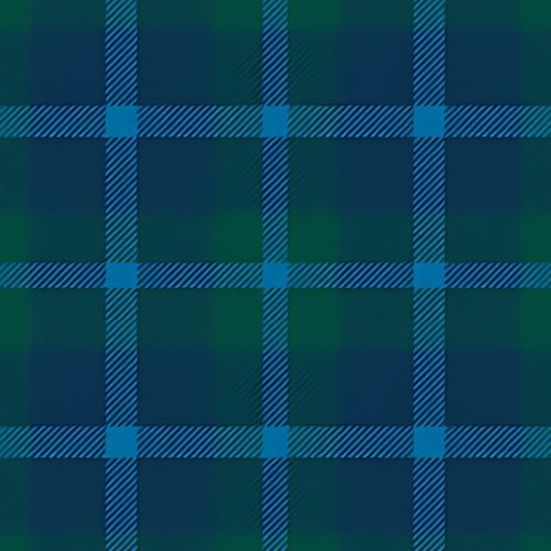 Sheffield High School tartan swatch