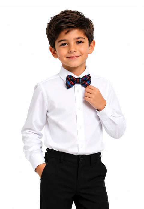 Campbell Tartan Bow Tie