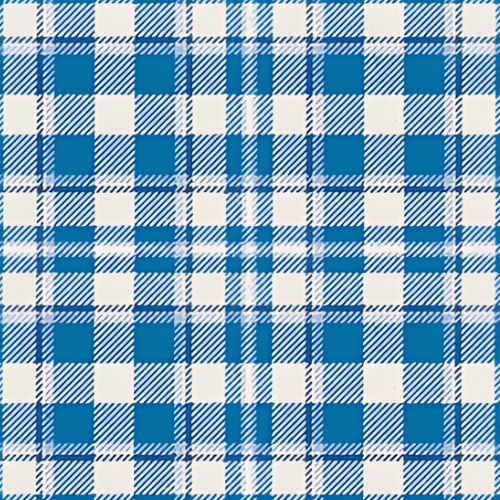 Silver Ancient tartan swatch
