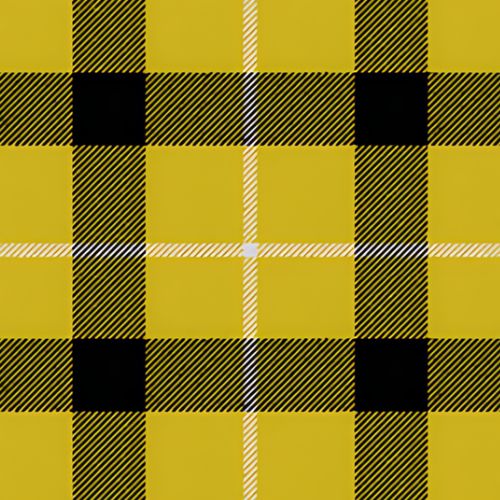 Silvicola tartan swatch