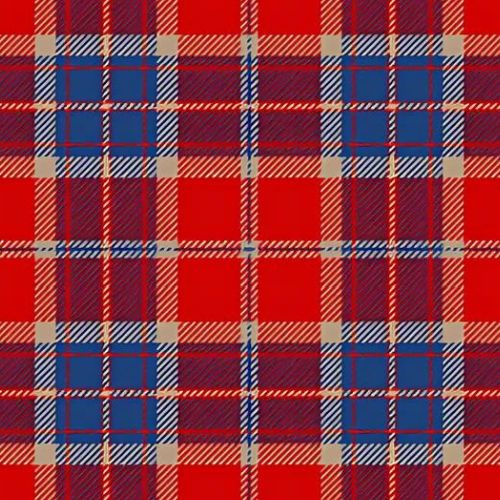 Snoozzzeee tartan swatch