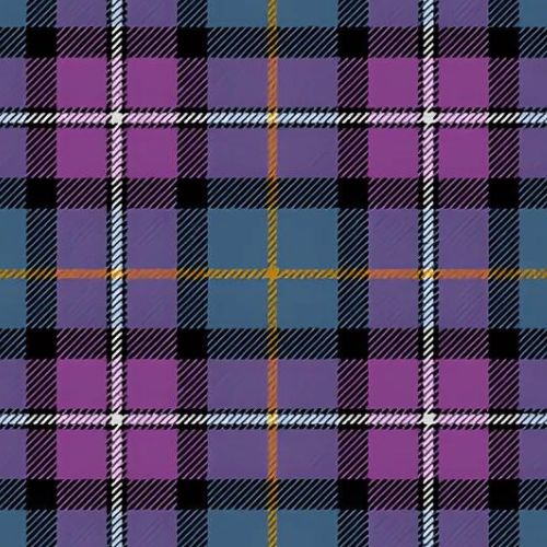 Soroptimist International Tartan