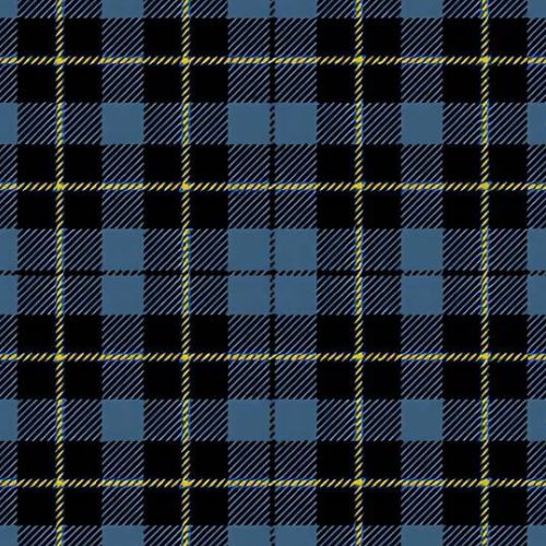 South African Air Force tartan swatch