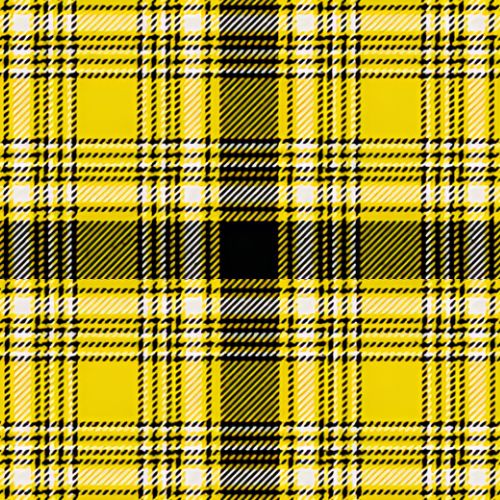 Suevia Heidelburg Corps Tartan