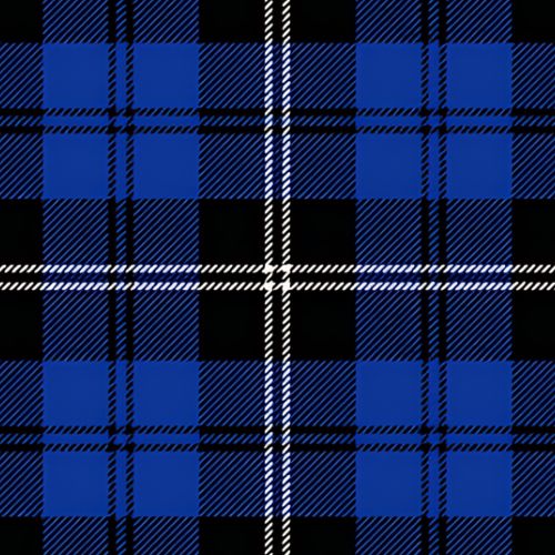 Swan tartan swatch