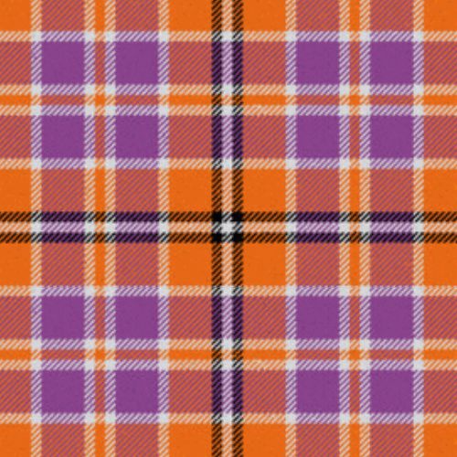 Tartan Tangerine tartan swatch