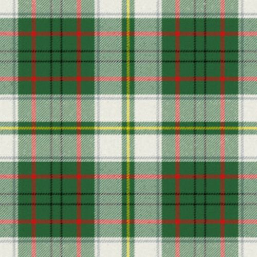 Taylor Dress tartan swatch