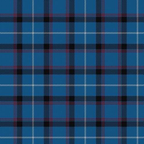 Tokyo Bluebells Dance tartan swatch