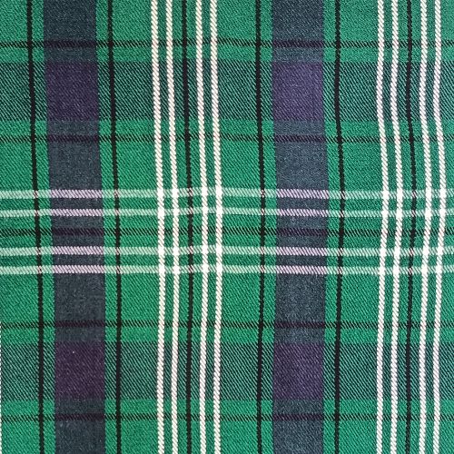 Tweedside Hunting tartan swatch