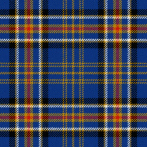 Ruxton Dress tartan swatch