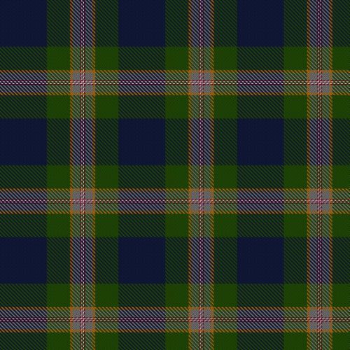 Wells tartan swatch