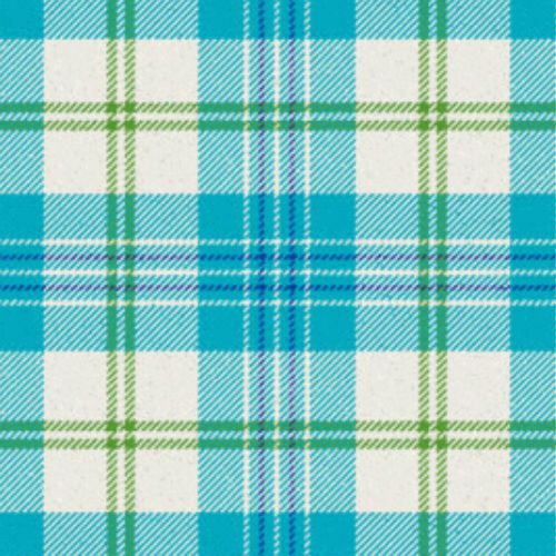 Yair Turquoise Tartan