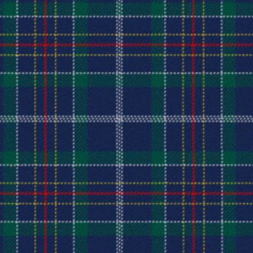 Youth Congress World tartan swatch