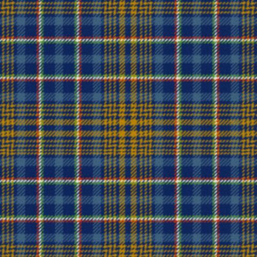 de Baseggio (Golden Bones) Tartan