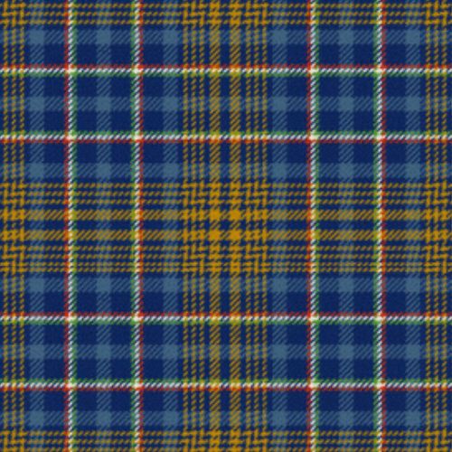 De Baseggio (Golden Bones) tartan swatch