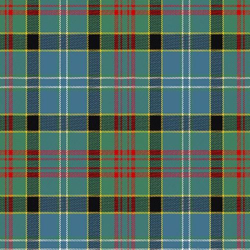 Paisley Tartan swatch